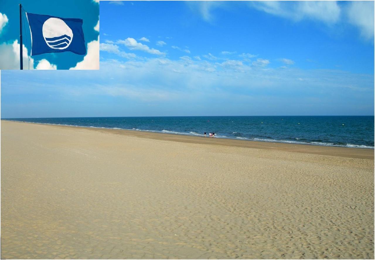 Apartamento Cerca Del Mar Oliva Luaran gambar